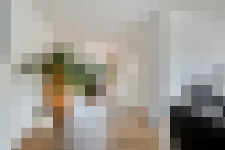 De Lijnstukken 21 Buinen thumbnail 8