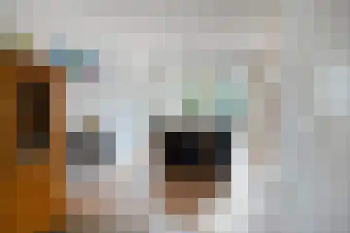 De Lijnstukken 21 Buinen thumbnail 9