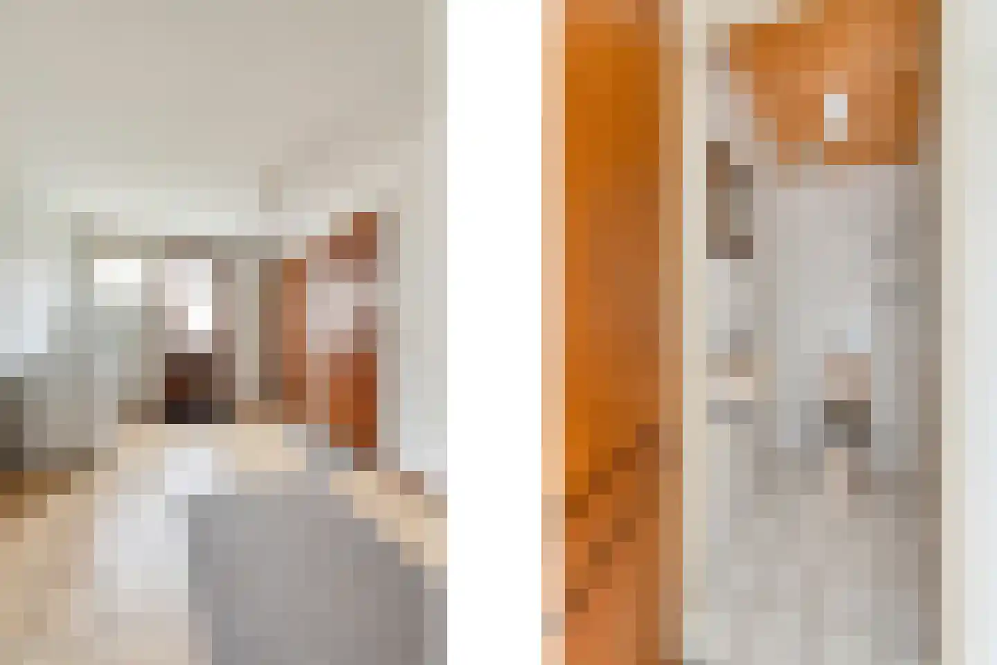 de Lijsterbes 1 Didam thumbnail 12