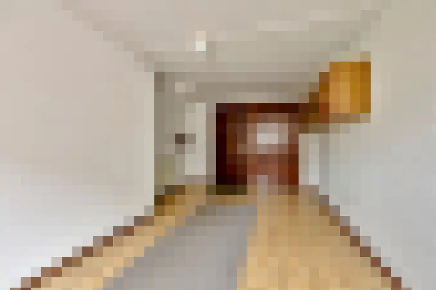 de Lijsterbes 1 Didam thumbnail 13