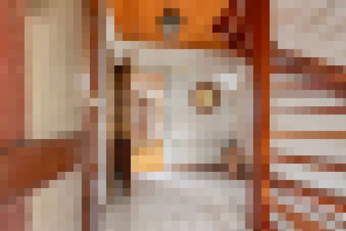 de Lijsterbes 1 Didam thumbnail 16