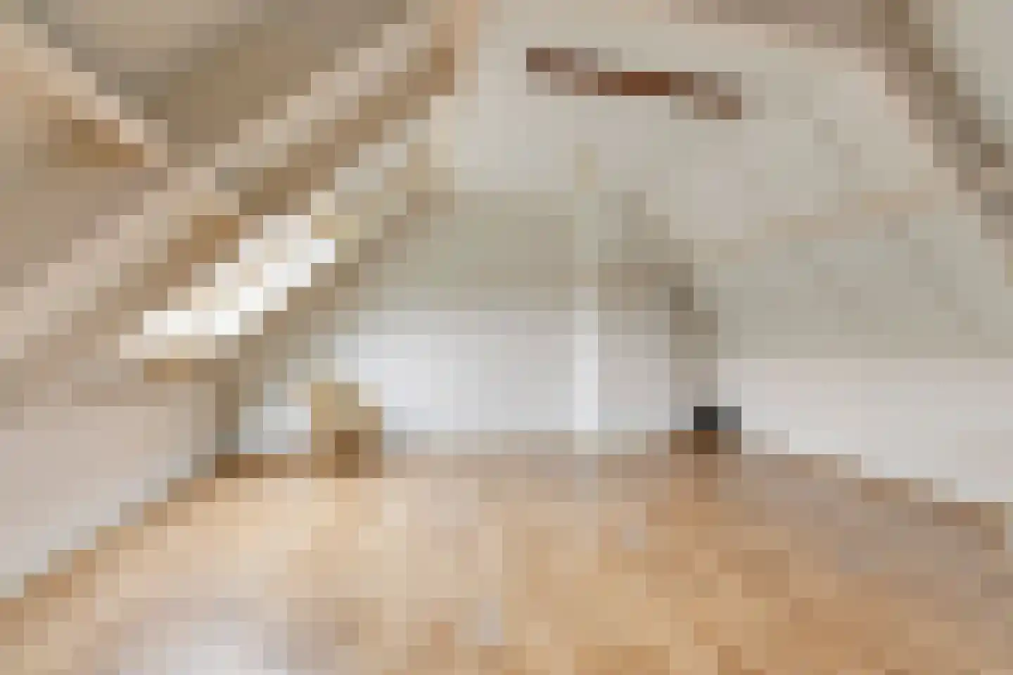 de Lijsterbes 1 Didam thumbnail 27