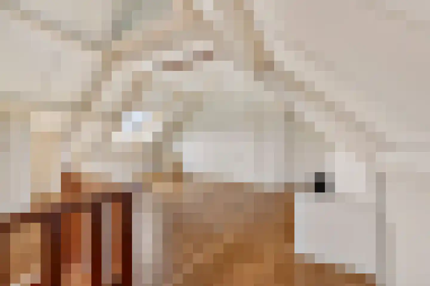 de Lijsterbes 1 Didam thumbnail 28