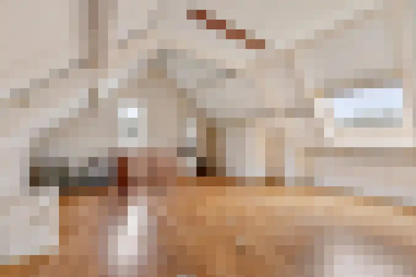 de Lijsterbes 1 Didam thumbnail 29