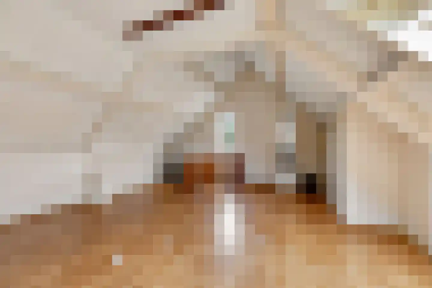 de Lijsterbes 1 Didam thumbnail 30