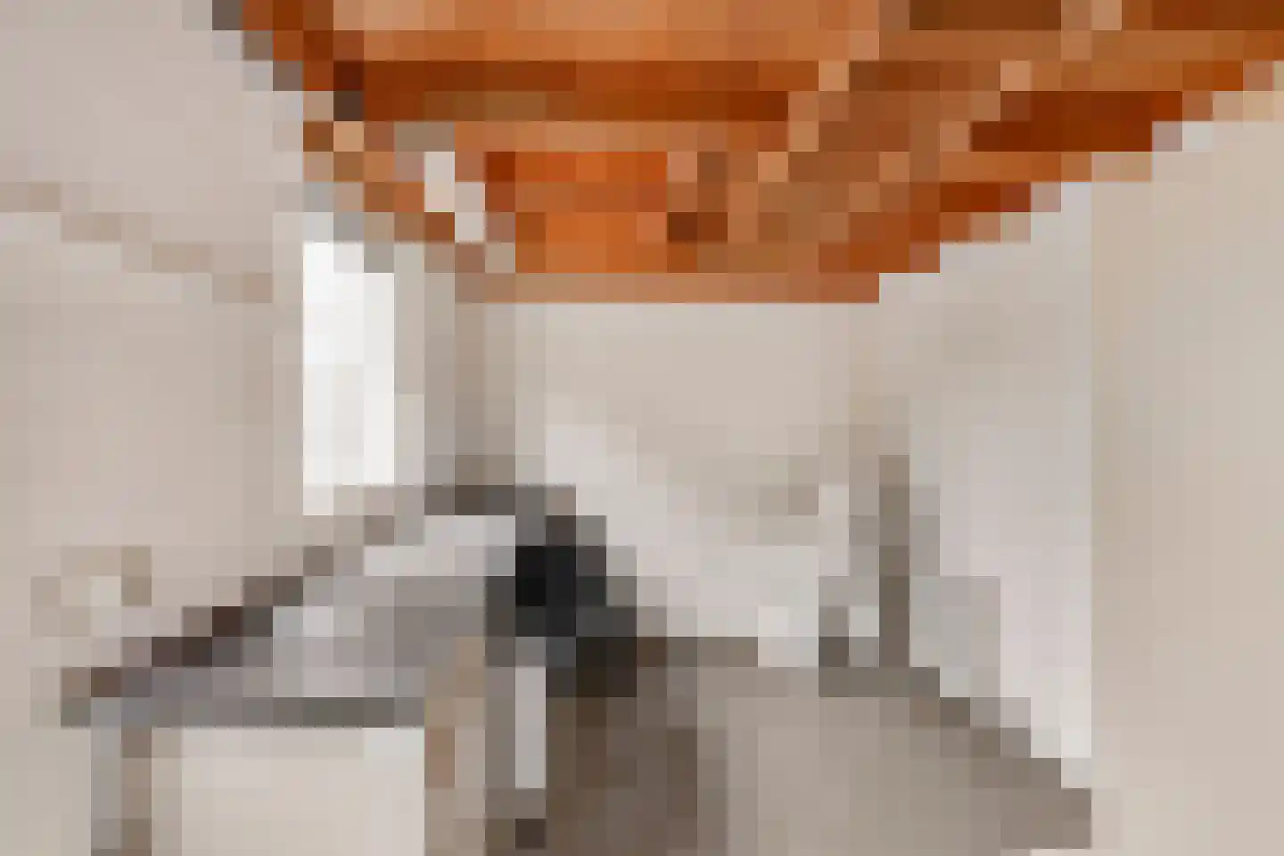 de Lijsterbes 1 Didam thumbnail 34