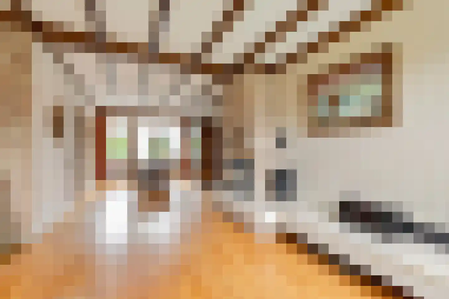 de Lijsterbes 1 Didam thumbnail 5