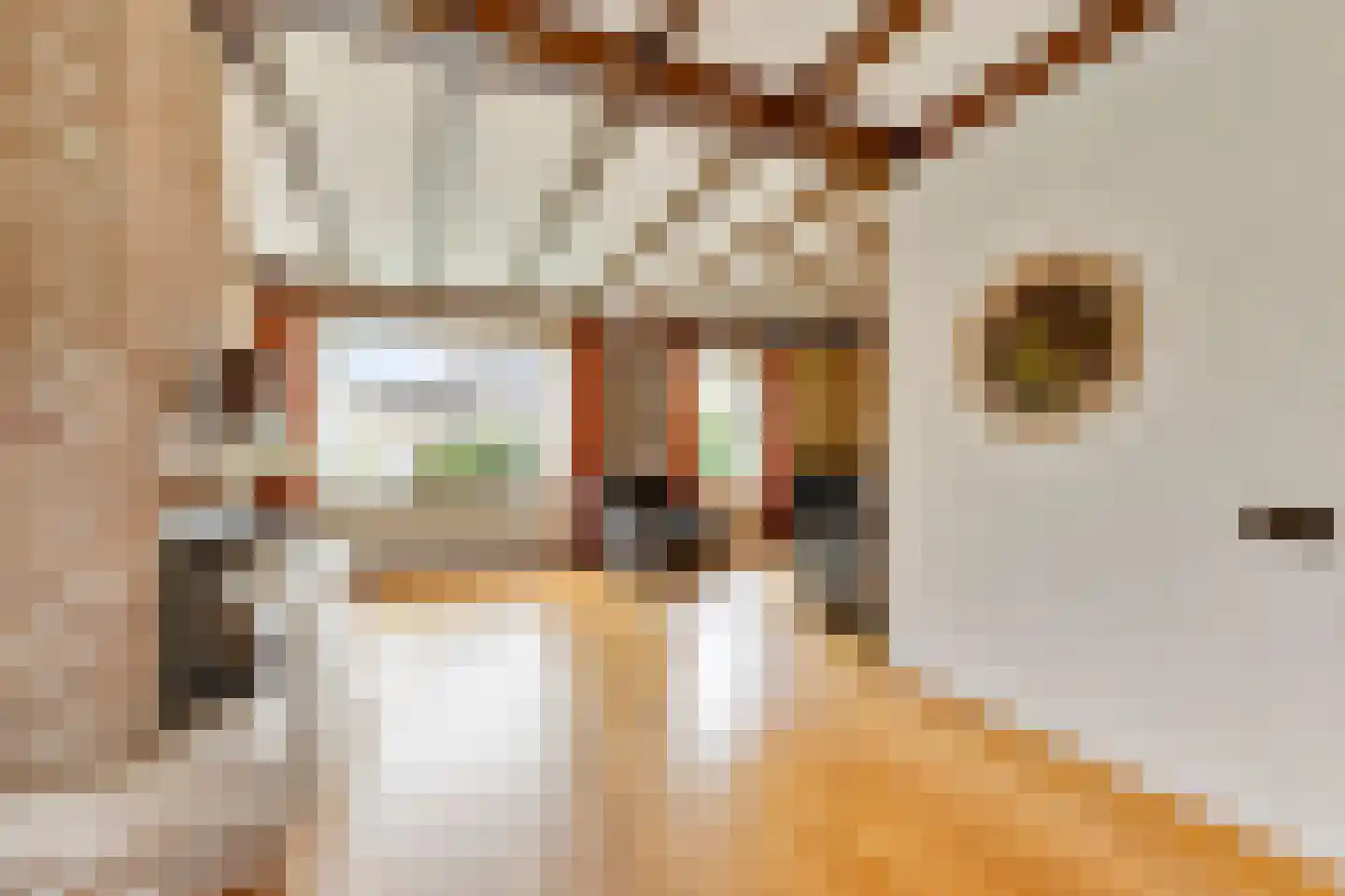 de Lijsterbes 1 Didam thumbnail 6