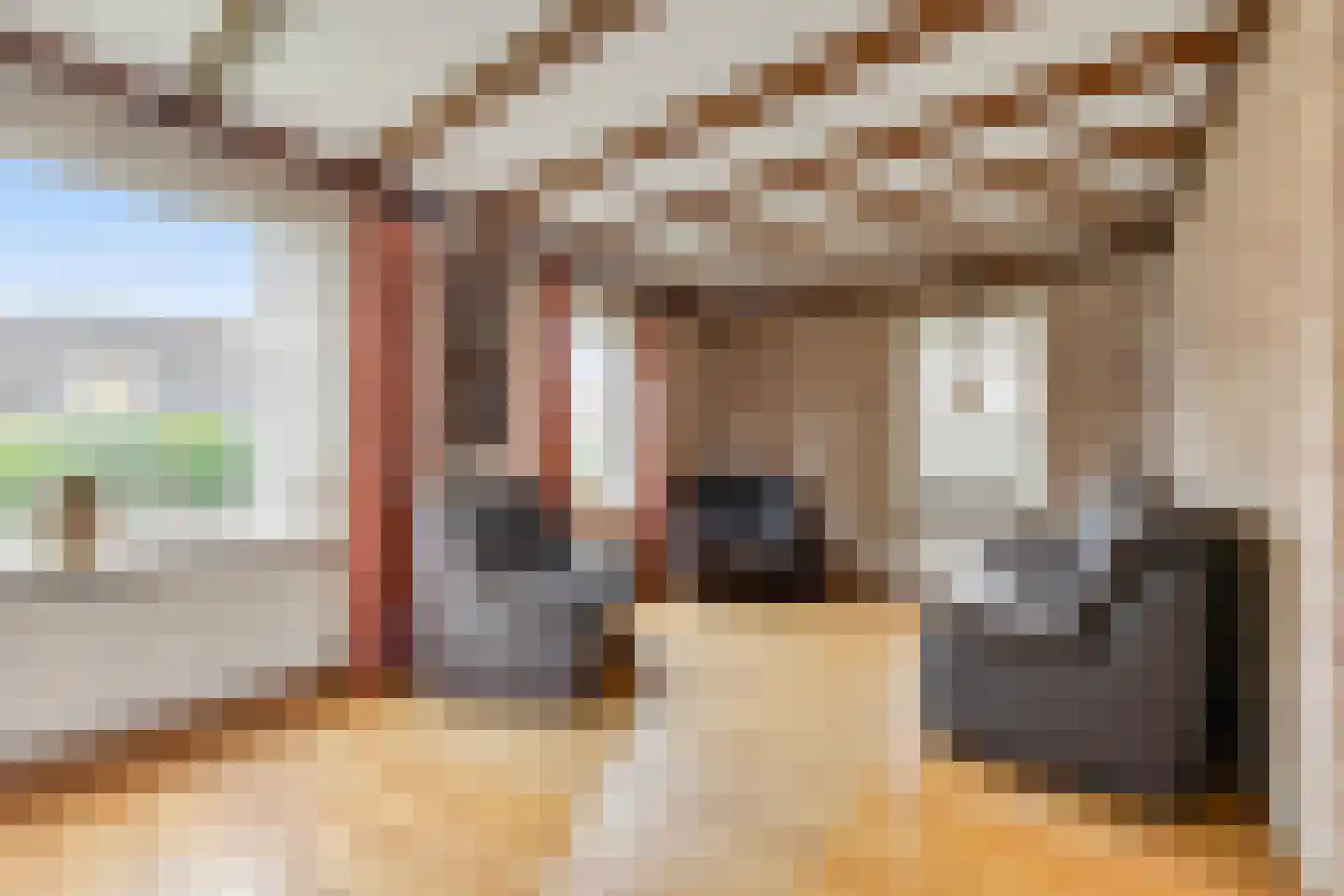 de Lijsterbes 1 Didam thumbnail 7
