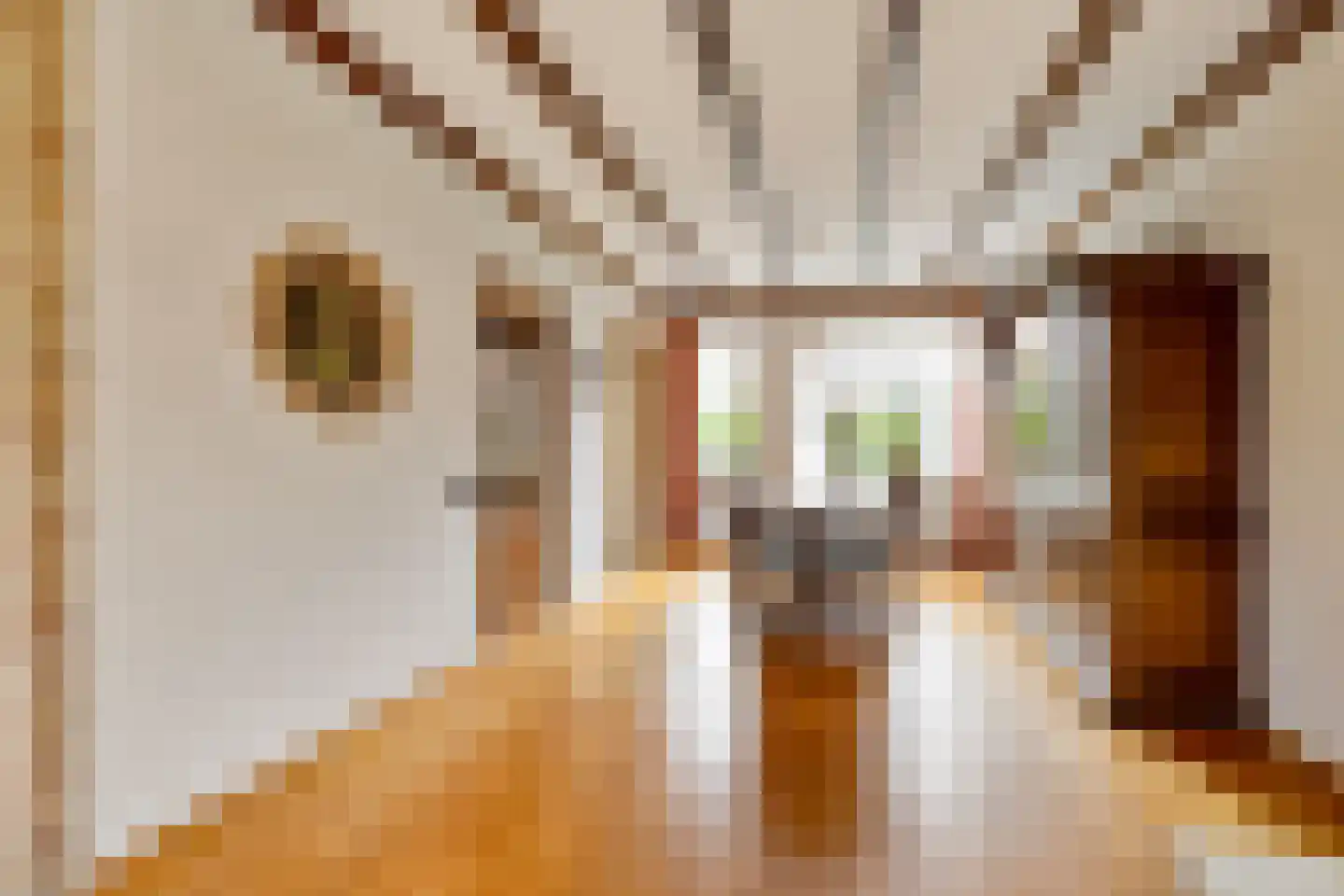de Lijsterbes 1 Didam thumbnail 8