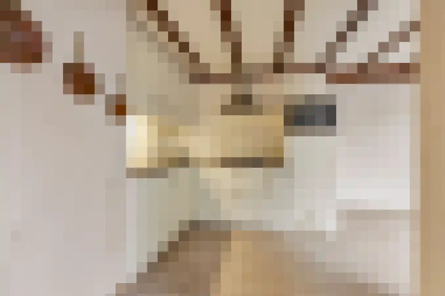 de Lijsterbes 1 Didam thumbnail 9