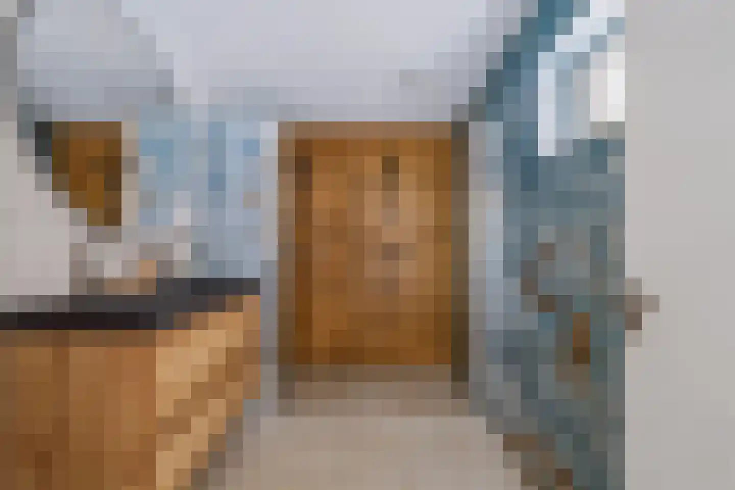 de Lijsterbes 11 A Didam thumbnail 10