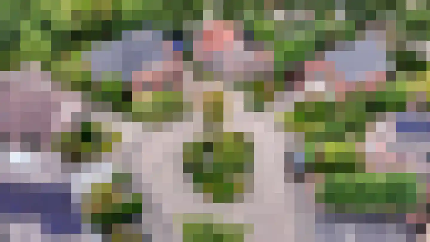 de Lijsterbes 11 A Didam thumbnail 13