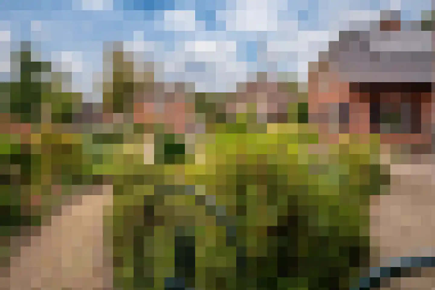 de Lijsterbes 11 A Didam thumbnail 16