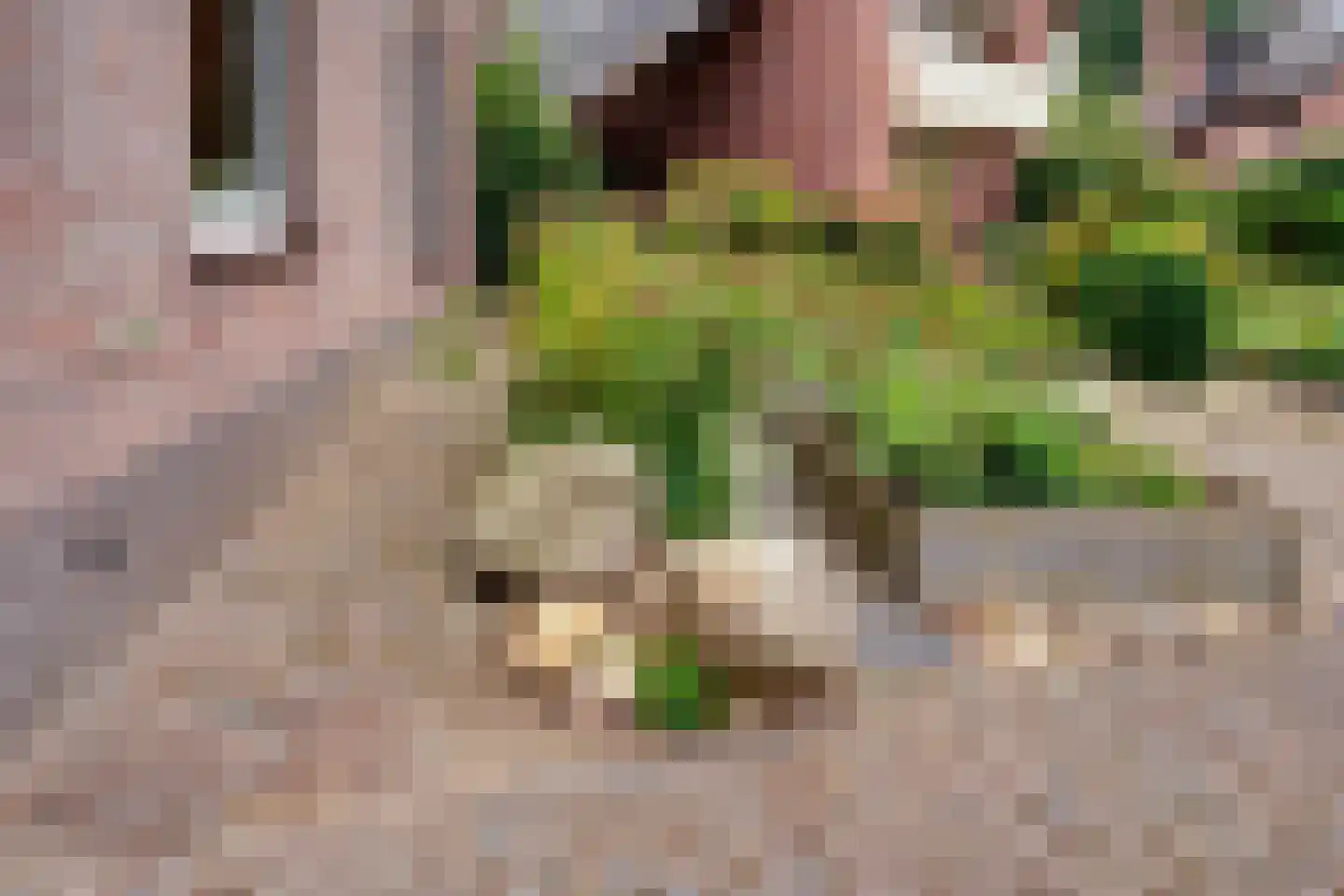 de Lijsterbes 11 A Didam thumbnail 17