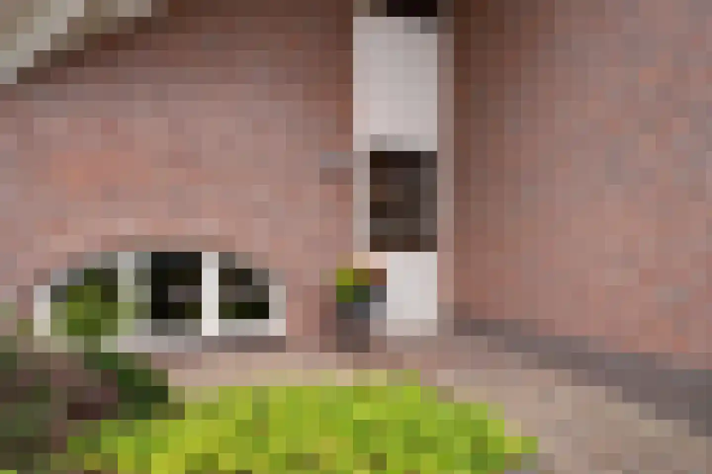 de Lijsterbes 11 A Didam thumbnail 18