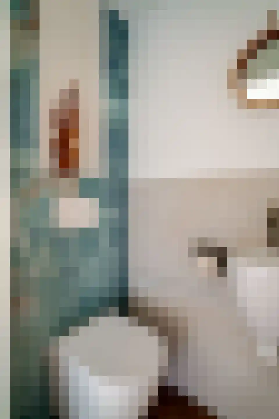 de Lijsterbes 11 A Didam thumbnail 21