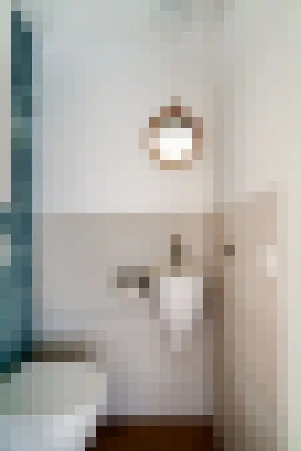 de Lijsterbes 11 A Didam thumbnail 22