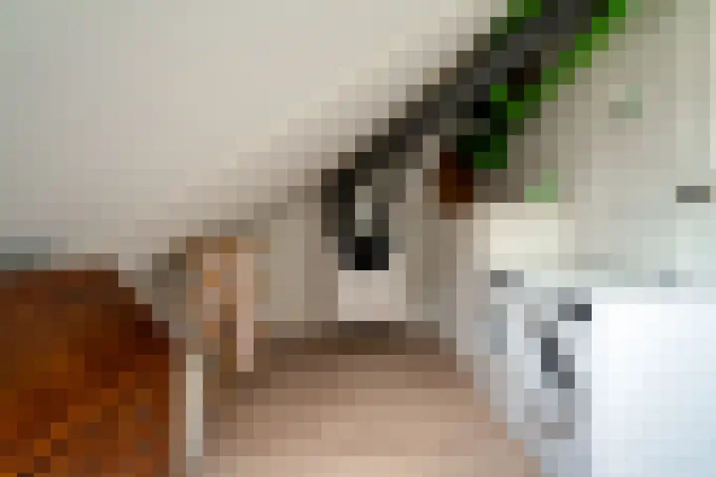 de Lijsterbes 11 A Didam thumbnail 46