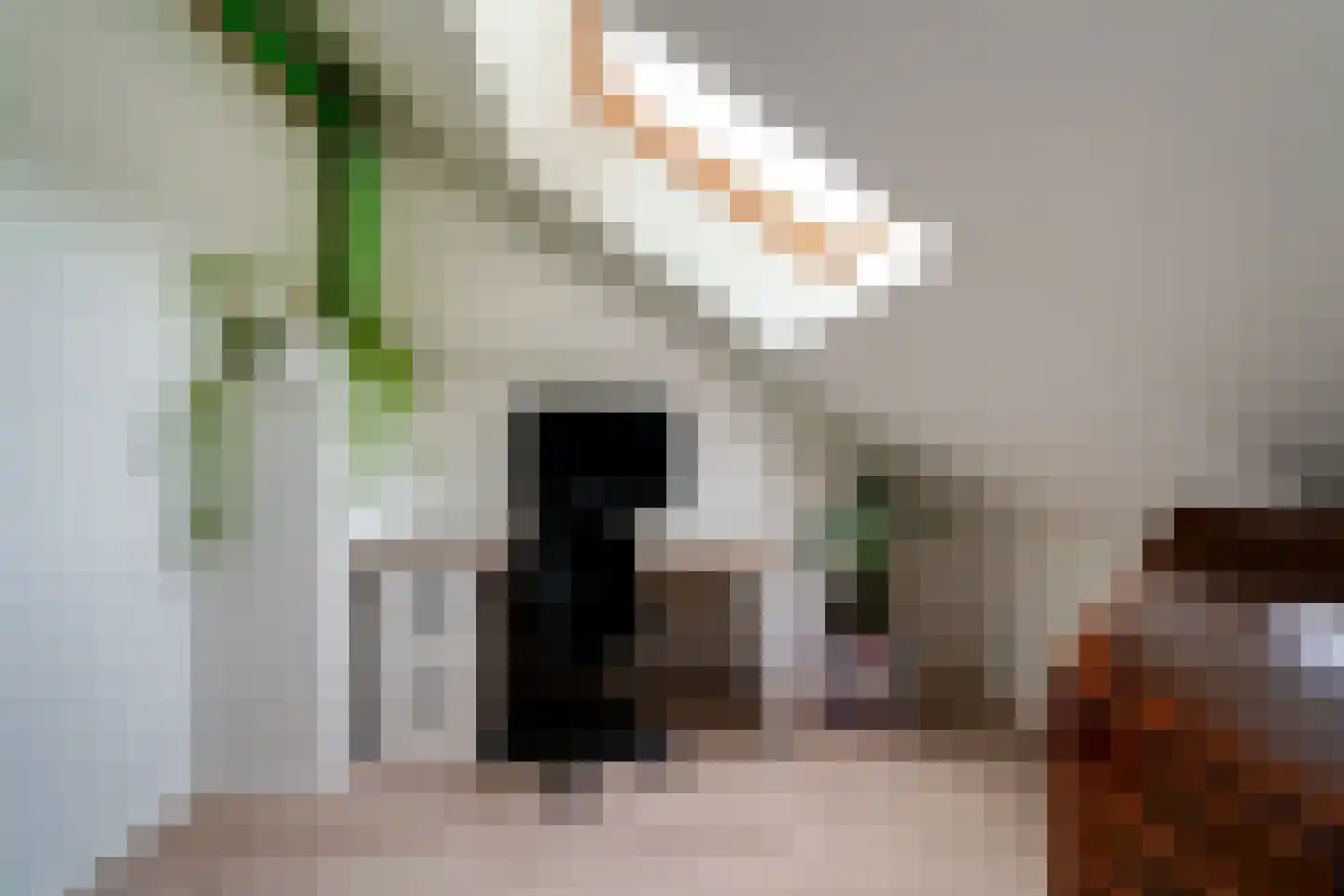 de Lijsterbes 11 A Didam thumbnail 48