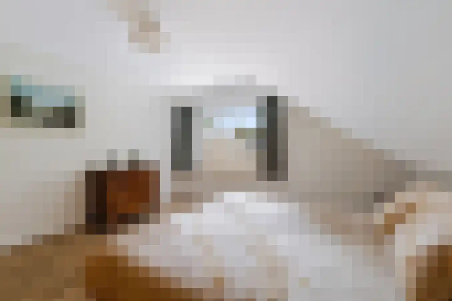 de Lijsterbes 11 A Didam thumbnail 56