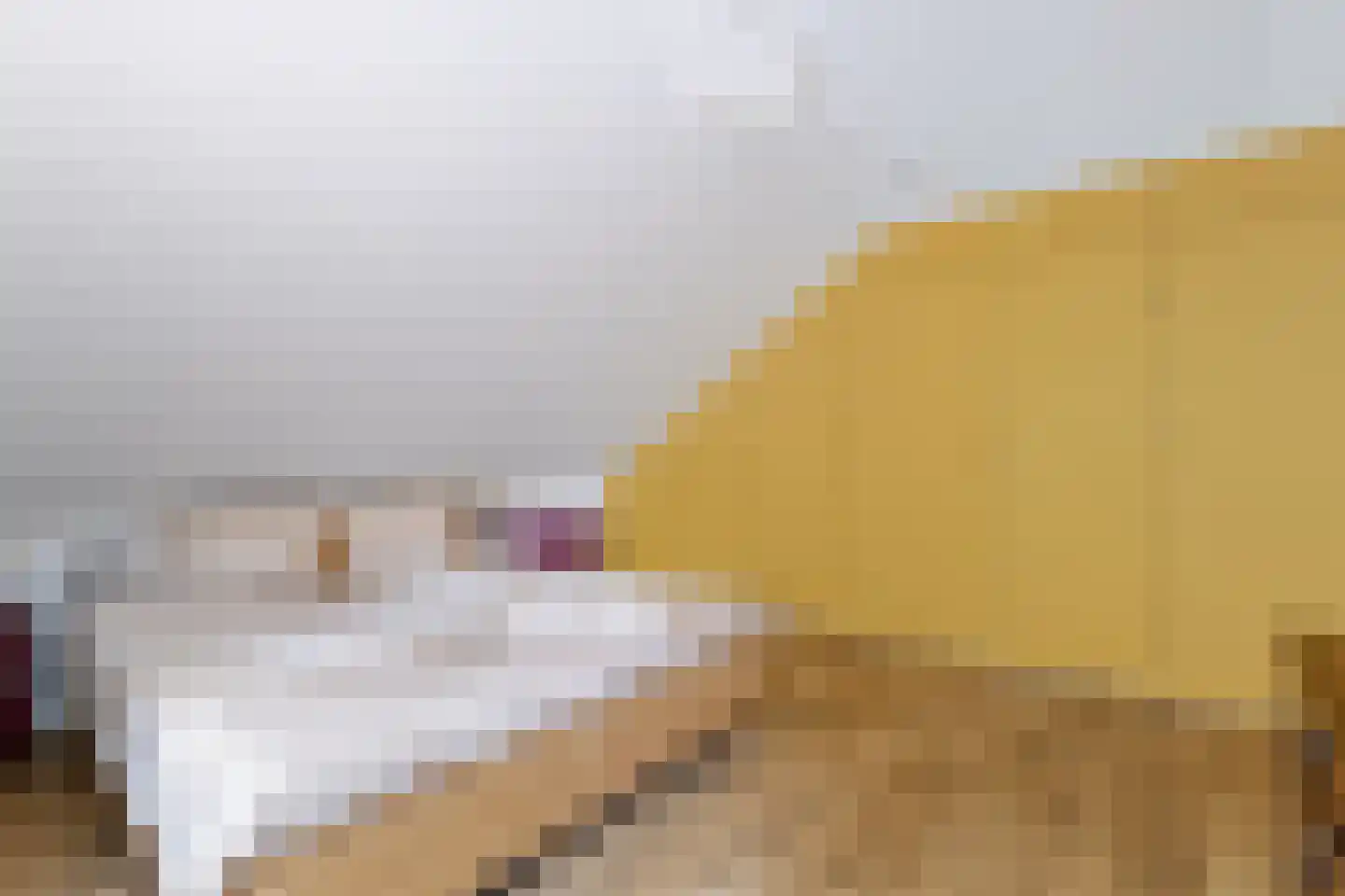 de Lijsterbes 11 A Didam thumbnail 58