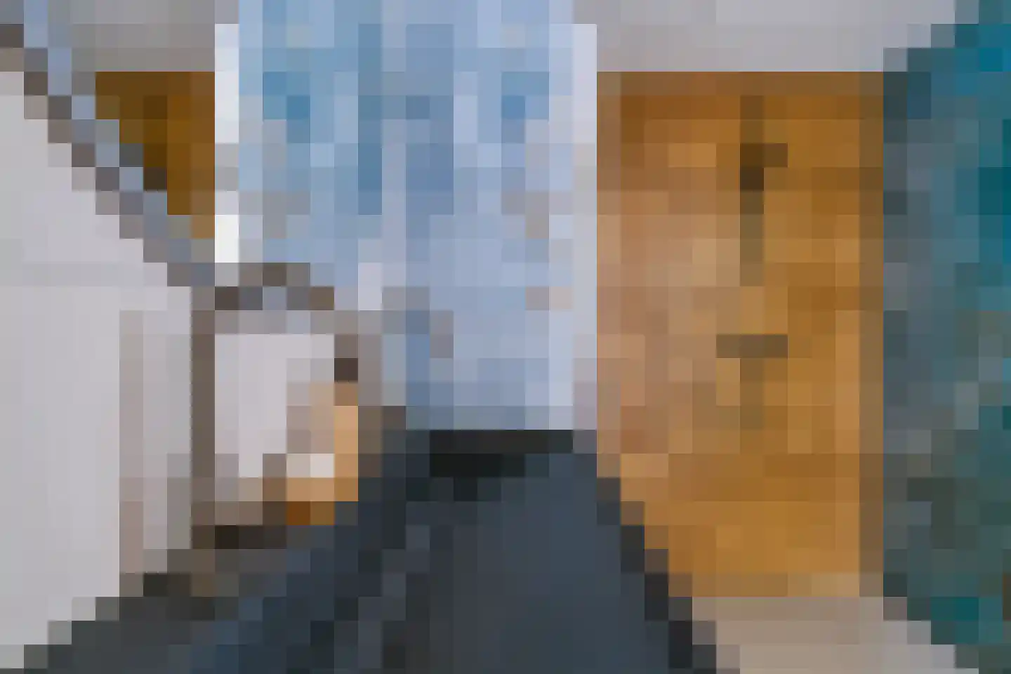 de Lijsterbes 11 A Didam thumbnail 59