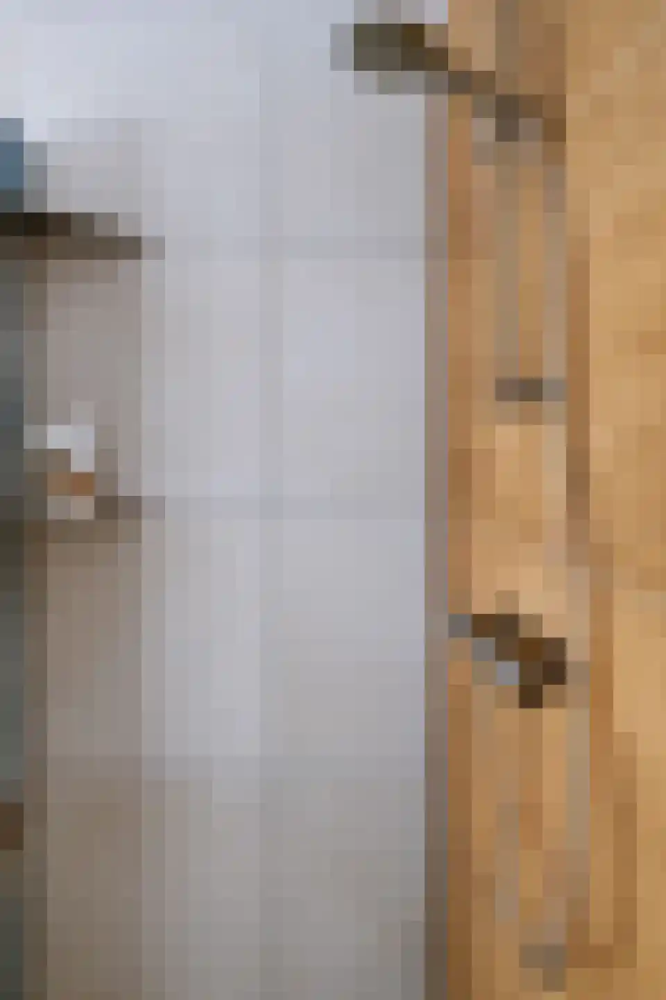 de Lijsterbes 11 A Didam thumbnail 61