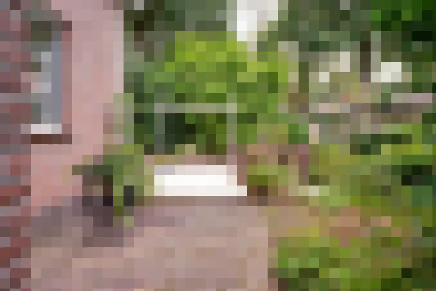de Lijsterbes 11 A Didam thumbnail 71