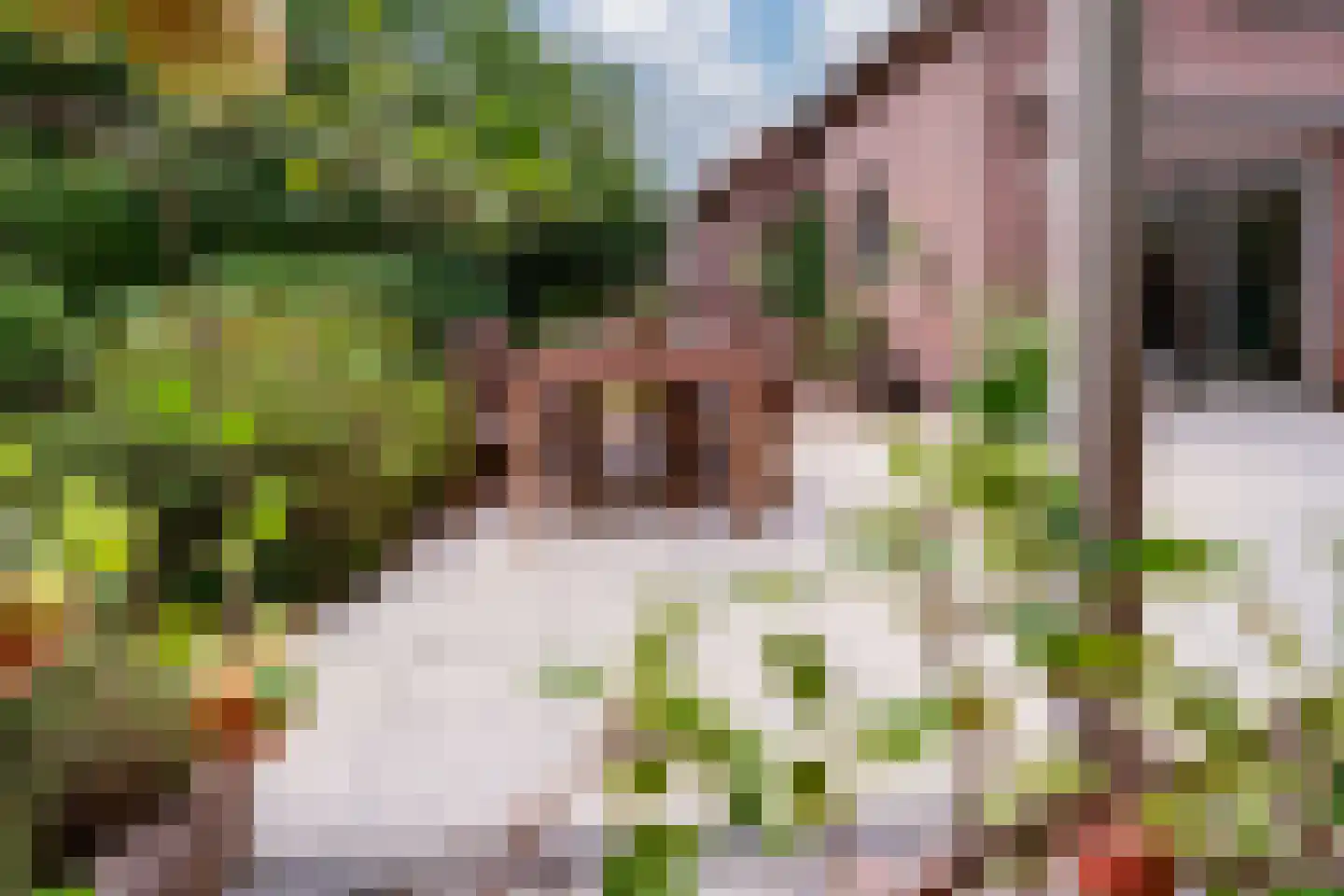 de Lijsterbes 11 A Didam thumbnail 73