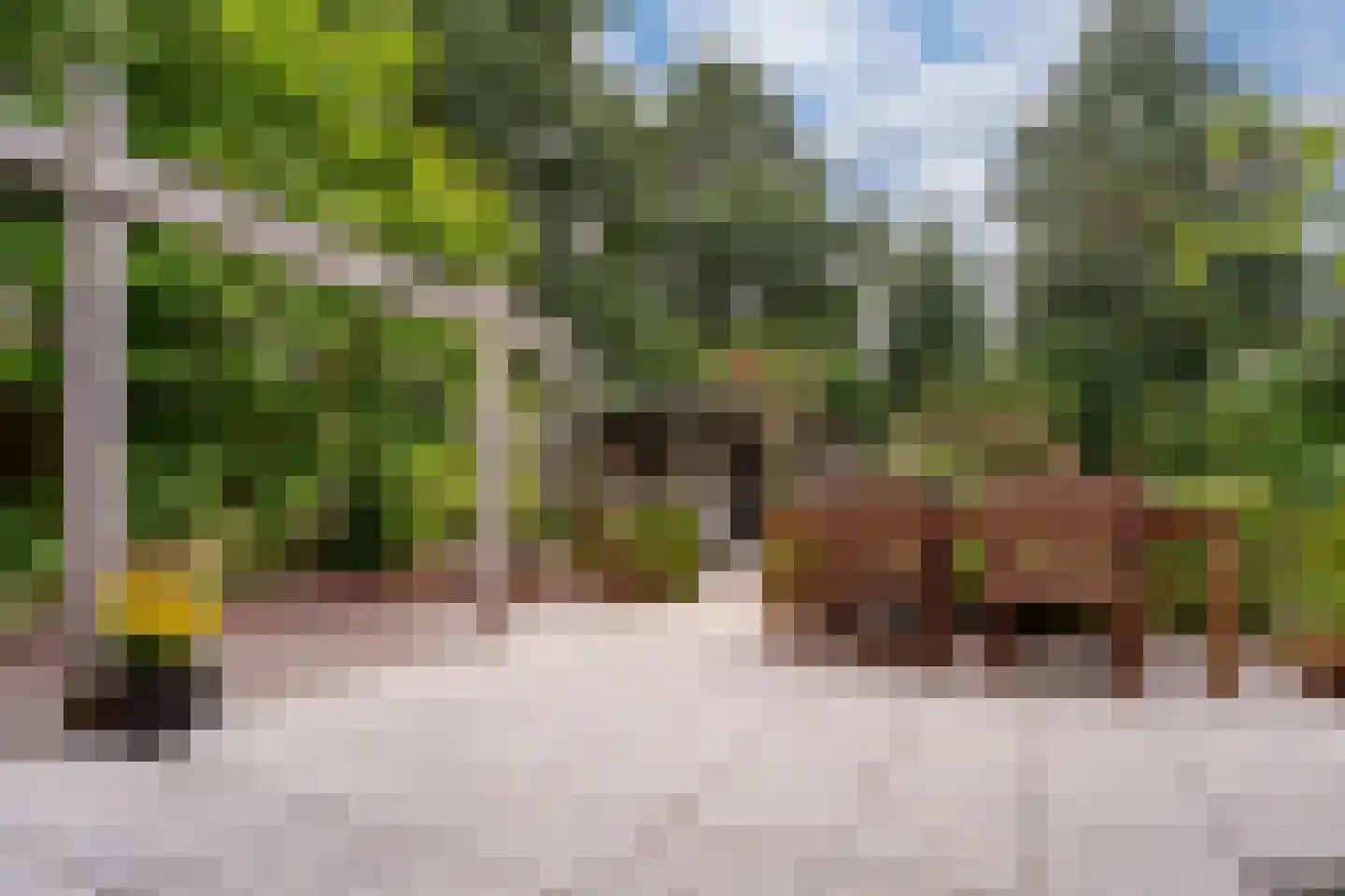de Lijsterbes 11 A Didam thumbnail 74