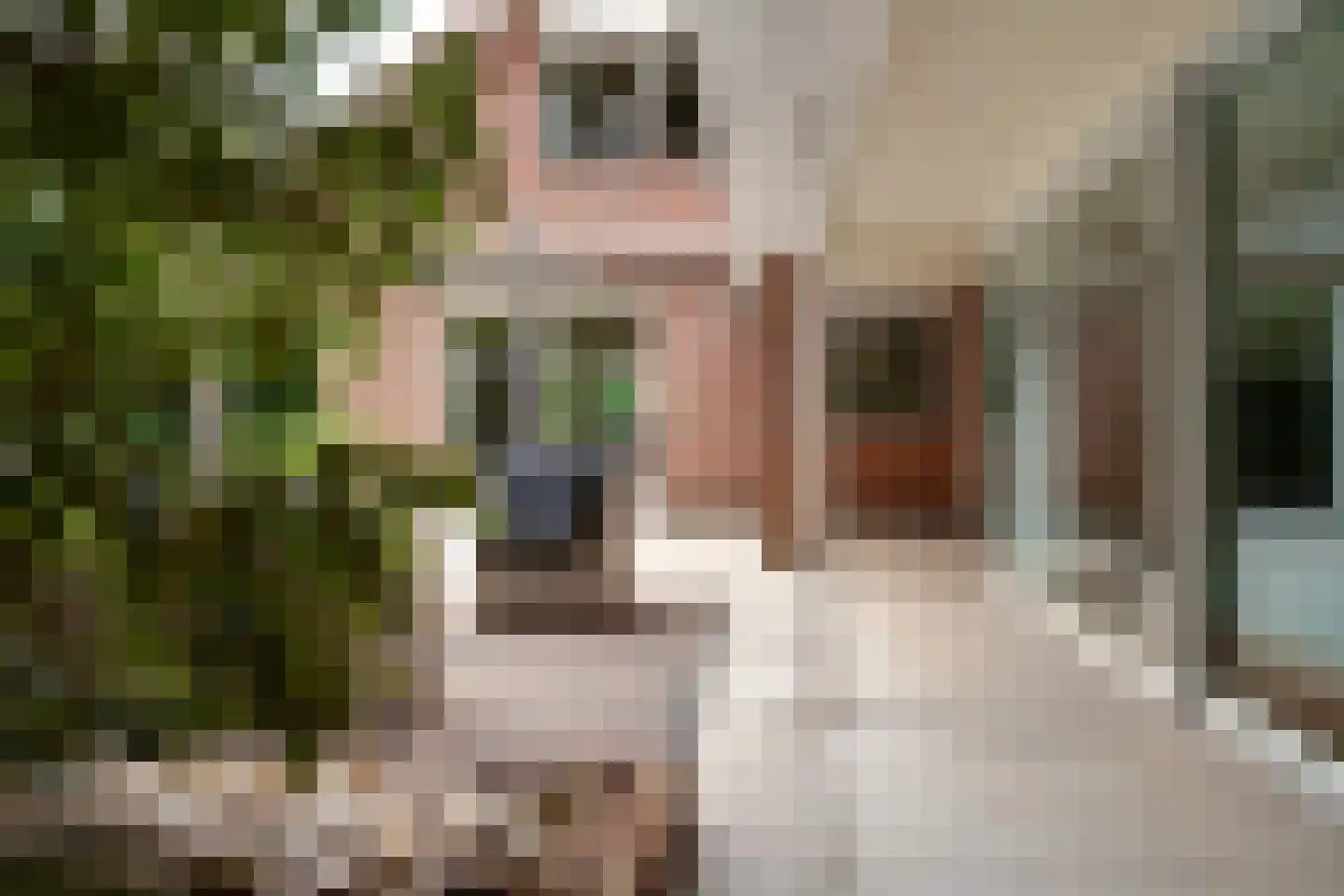 de Lijsterbes 11 A Didam thumbnail 76