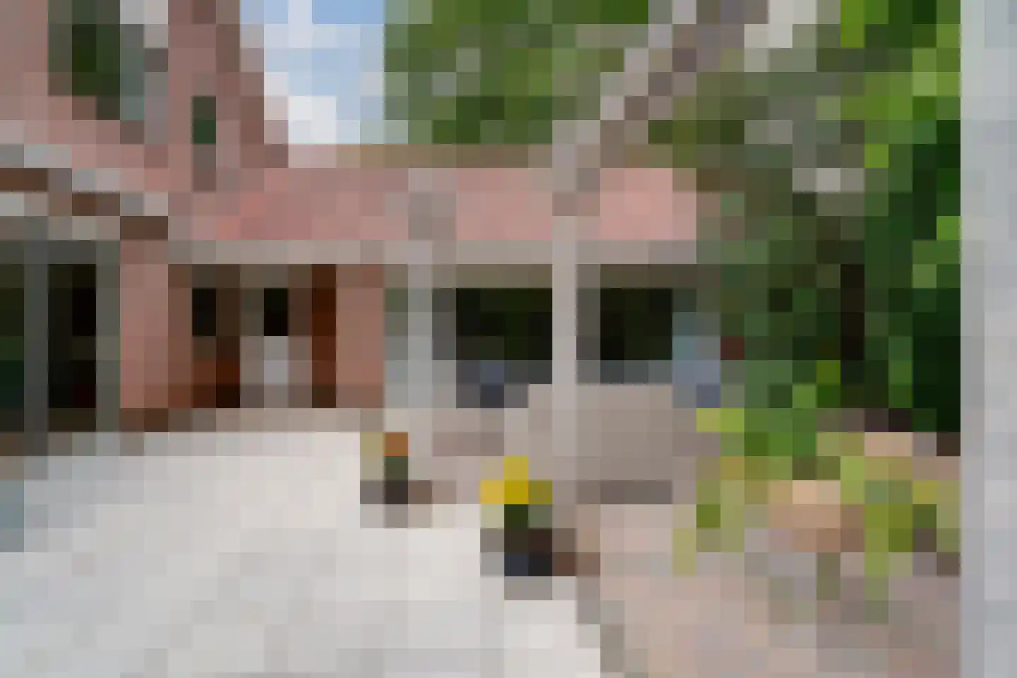 de Lijsterbes 11 A Didam thumbnail 77