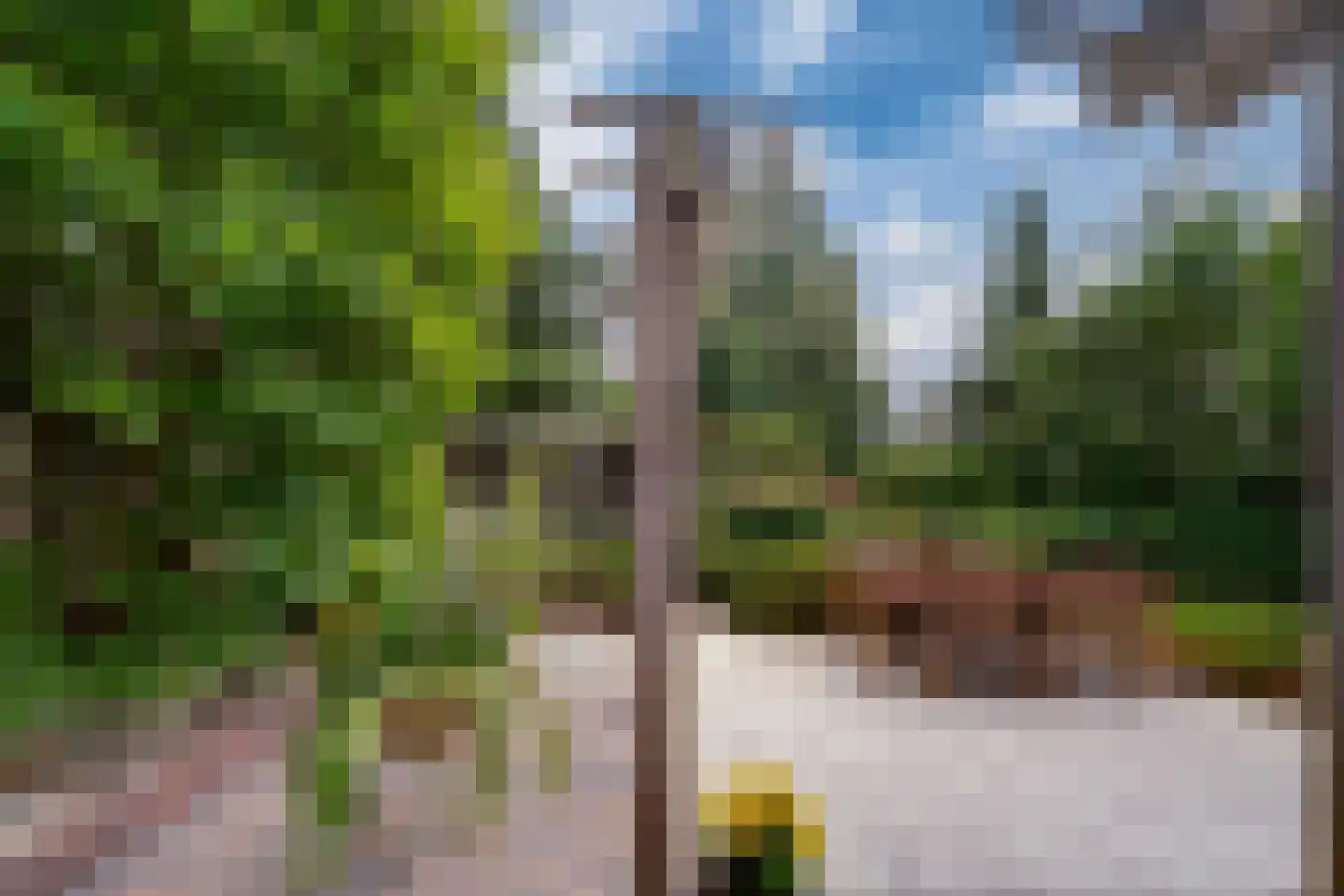 de Lijsterbes 11 A Didam thumbnail 78