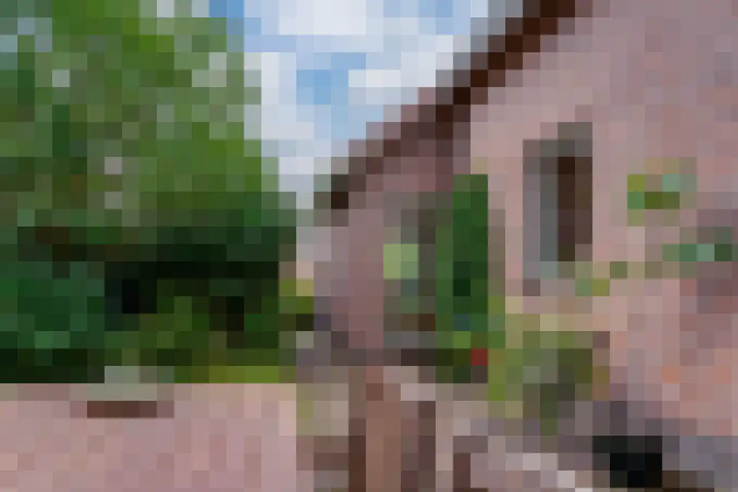 de Lijsterbes 11 A Didam thumbnail 79