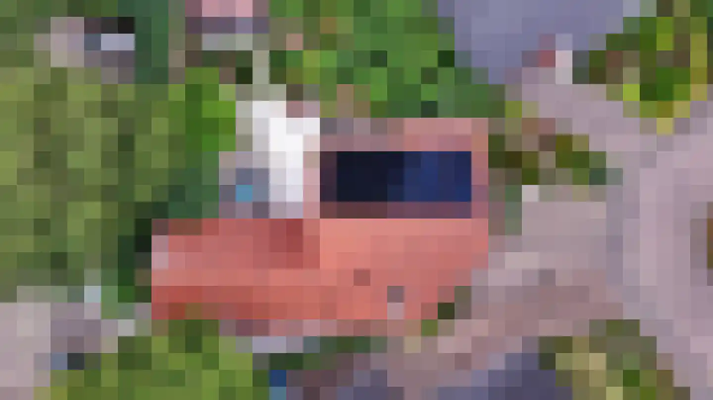 de Lijsterbes 11 A Didam thumbnail 82