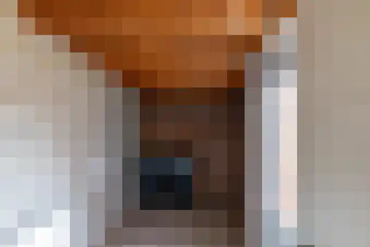De Lijsterbes 15 Bedum thumbnail 11