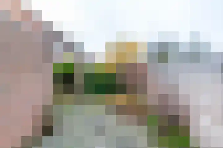 De Lijsterbes 15 Bedum thumbnail 13