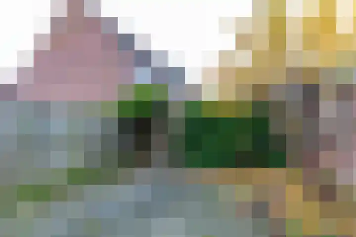 De Lijsterbes 15 Bedum thumbnail 14