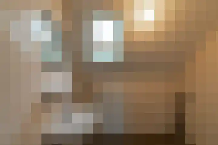 De Lijsterbes 15 Bedum thumbnail 20