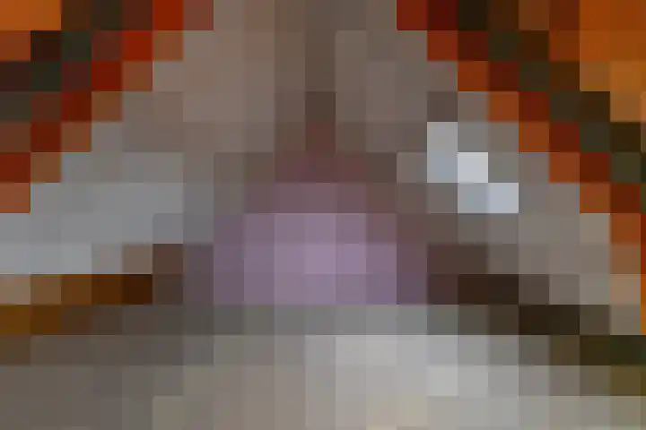 De Lijsterbes 15 Bedum thumbnail 28