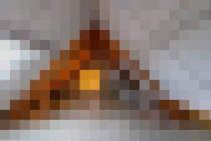 De Lijsterbes 15 Bedum thumbnail 29