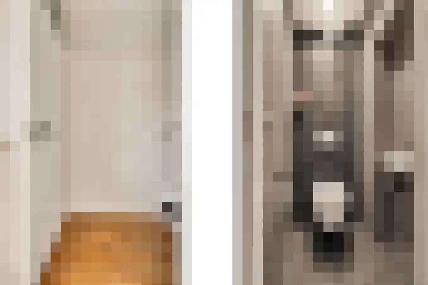 de Lijsterbes 2 Didam thumbnail 14