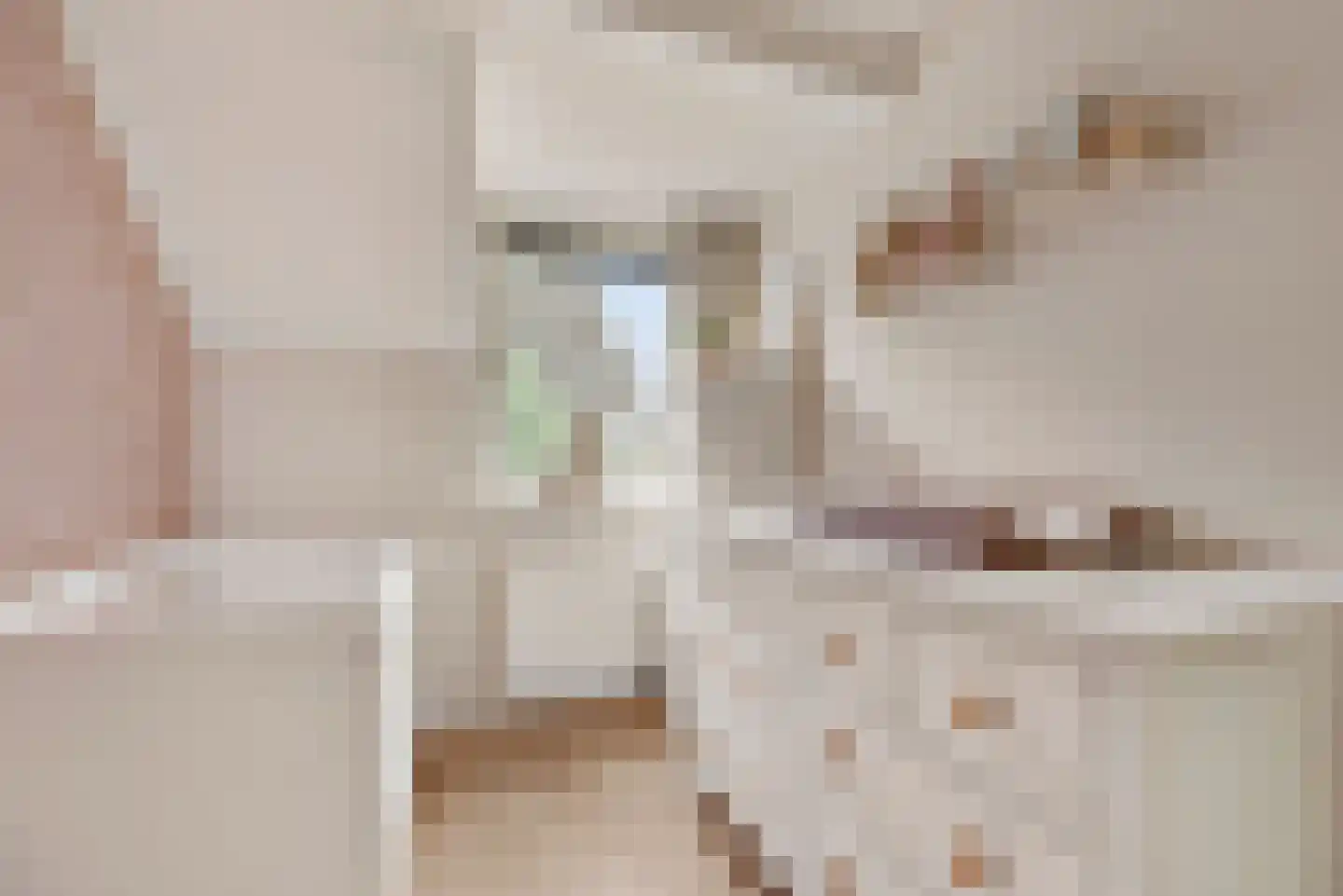 de Lijsterbes 2 Didam thumbnail 17