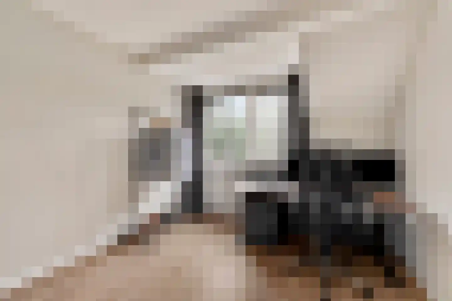 de Lijsterbes 2 Didam thumbnail 19