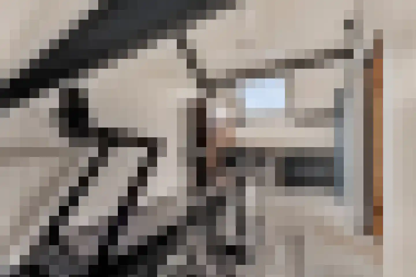 de Lijsterbes 2 Didam thumbnail 26