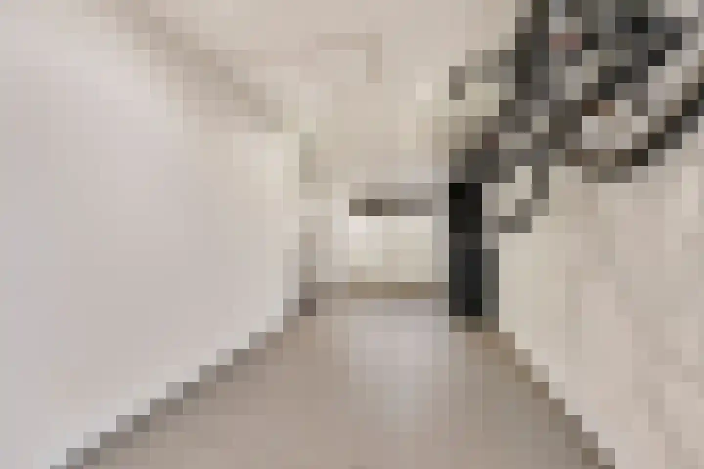 de Lijsterbes 2 Didam thumbnail 27
