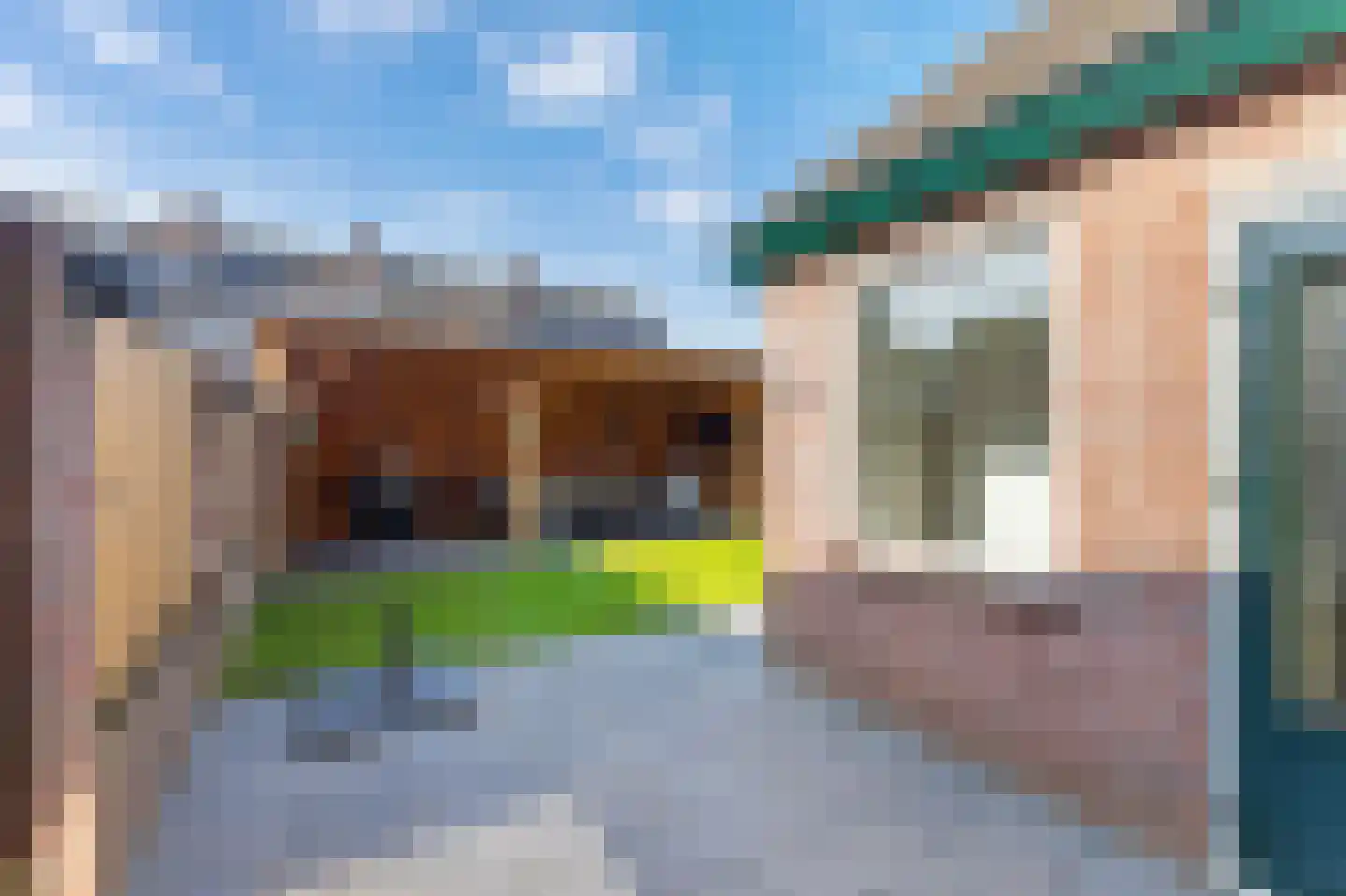 de Lijsterbes 2 Didam thumbnail 28