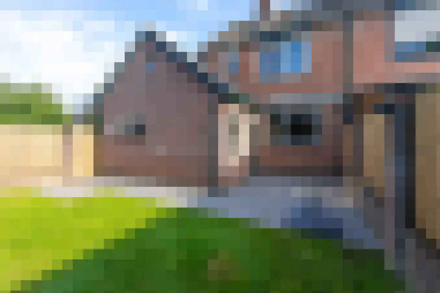 de Lijsterbes 2 Didam thumbnail 32