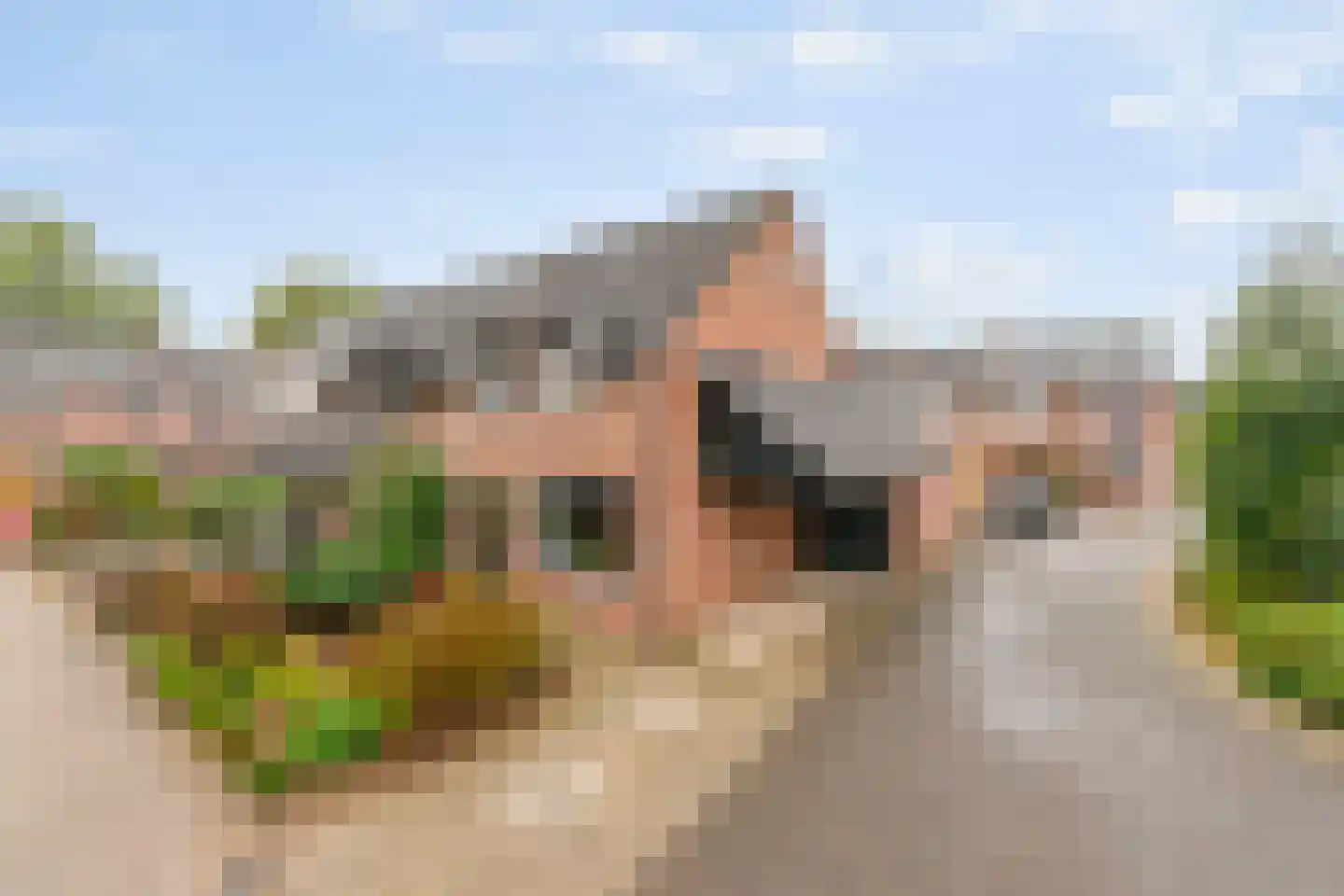 de Lijsterbes 2 Didam thumbnail 33